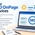 Basic SEO On-Page Services For Better Google Rankings