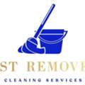 Dust Remover Services