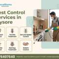 Professional Pest Control Service In Mysore By LocalRamu