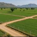 INR 10000000,  1250 Sq. Yard,  Explore Farmhouses In Naugaon Alwar &ndash; Find Your Ideal Property Today