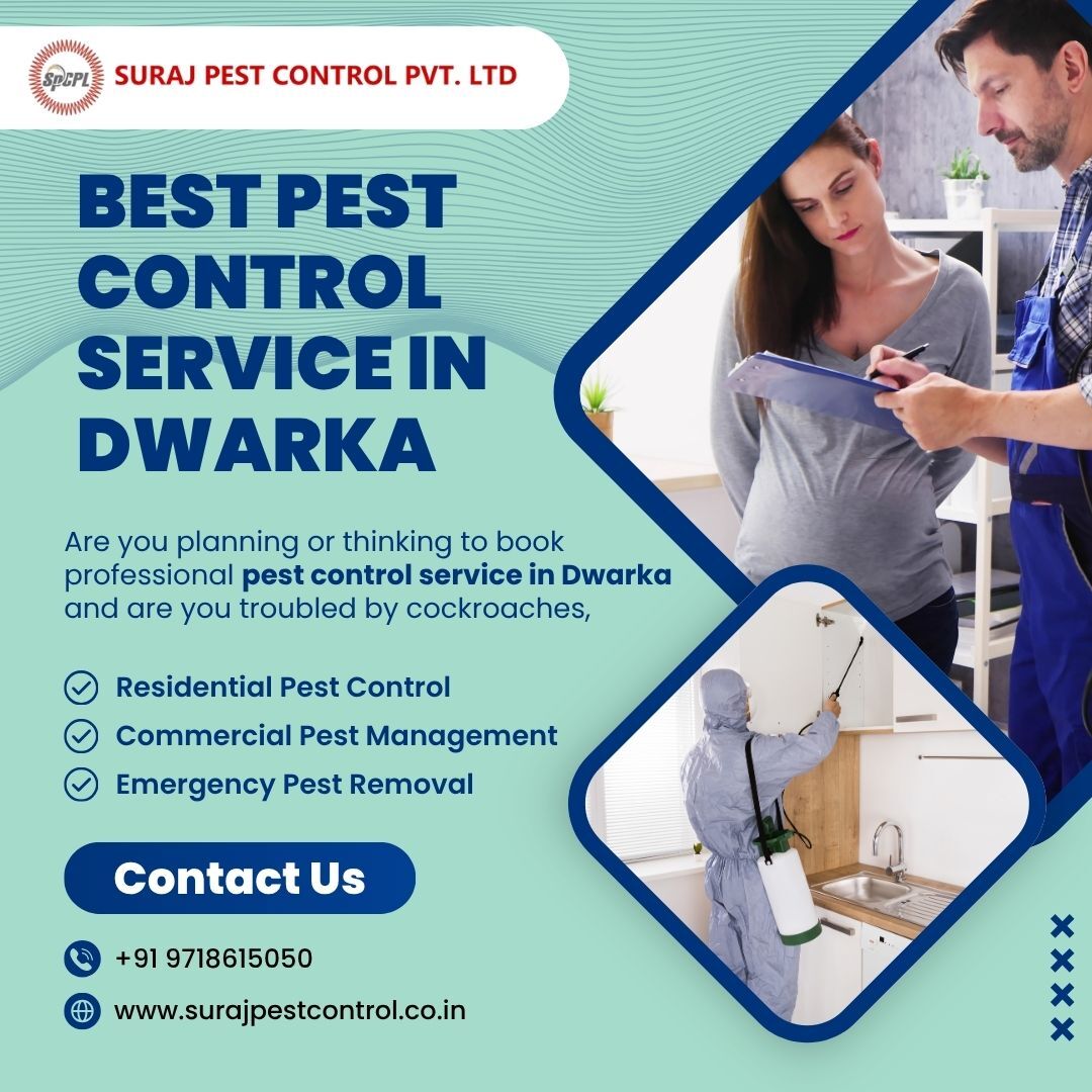 New Delhi, Pest Control, Best Pest Control Services In Dwarka For Home & Office