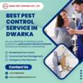 Best Pest Control Services In Dwarka For Home & Office