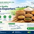 Premium Quality Grains Exporters In India &ndash; Glee Impex