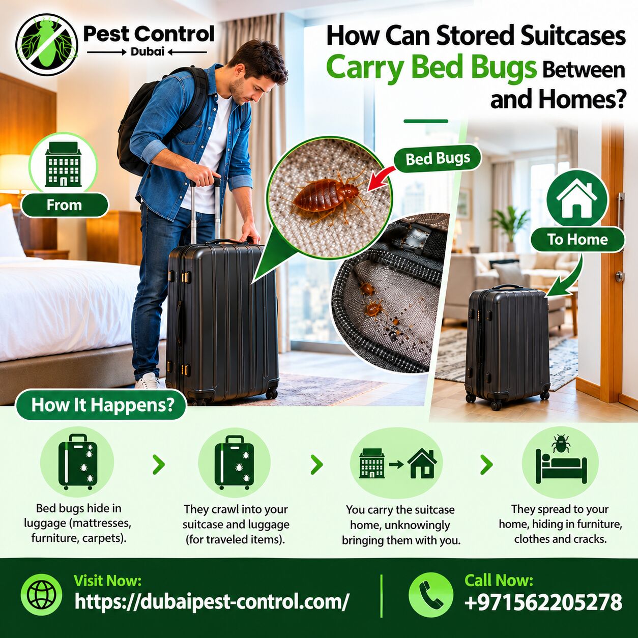 Dubai, Pest Control, How Can Stored Suitcases Carry Bed Bugs Between Hotels And Homes?