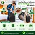 How Can Stored Suitcases Carry Bed Bugs Between Hotels And Homes?