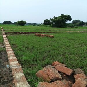 Bhubaneswar, Residential Plots, Premium Residential Plots For Sale In Bentapur, Bhubaneswar – ₹1,250 Per Sq. Ft.