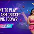 The Role Of User Experience In WinClash Cricket Online