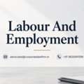 Need Expert Help With Labour And Employment Legal Matters For Your Business?