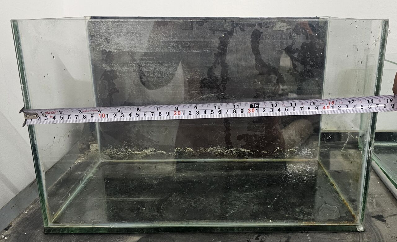Riyadh, Pet Supplies, SAR 250,  Aquarium For Sale