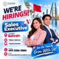 Sales Executive