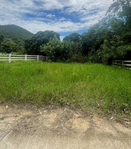 Bangkok, Real Estate For Sale, THB 450000,  6 BR,  65 Sq. Feet,  ขายที่ดิน 65ตรว. ลดเหลือ450,000บาท ฟรีโอน ว