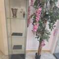 SAR 149,  Glass Display Cabinet &ndash; 160 Cm, 3 Glass Shelves