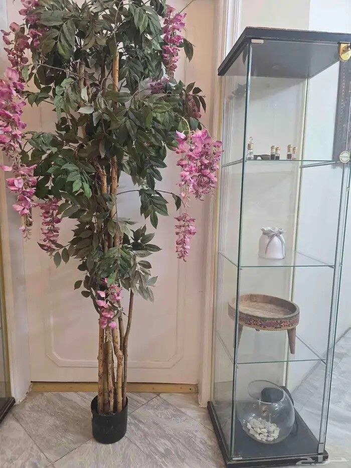 Riyadh, Furniture, SAR 149,  Glass Display Cabinet &ndash; 160 Cm, 3 Glass Shelves