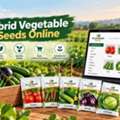 Hybrid Vegetable Seeds Online &ndash; Quality Seeds For Better Farming