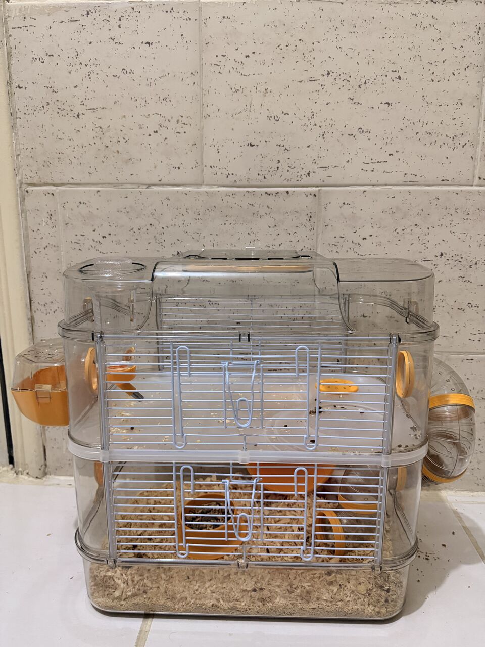 Jeddah, Pet Supplies, SAR 20,  Hamsters For Sale In Jeddah 🐹