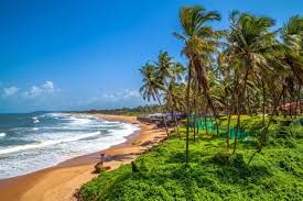 Noida, Travel, Looking For The Best Tour Company In Delhi? Choose Happy Miles Journey