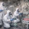 ACE Environmental &ndash; Professional Asbestos, Mold & Lead Testing Services In Vancouver, BC