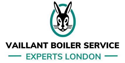 London, Real Estate, Trusted Vaillant Boiler Repair London And Nearby Areas