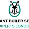 Trusted Vaillant Boiler Repair London And Nearby Areas