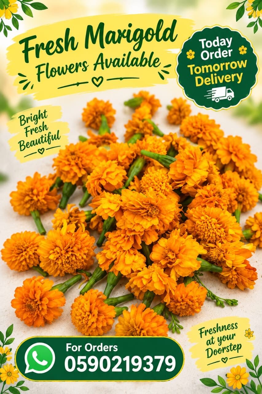 Jubail, Clothing & Accessories, SAR 20,  Fresh Jasmine,Marigold,Roses