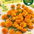 SAR 20,  Fresh Jasmine,Marigold,Roses