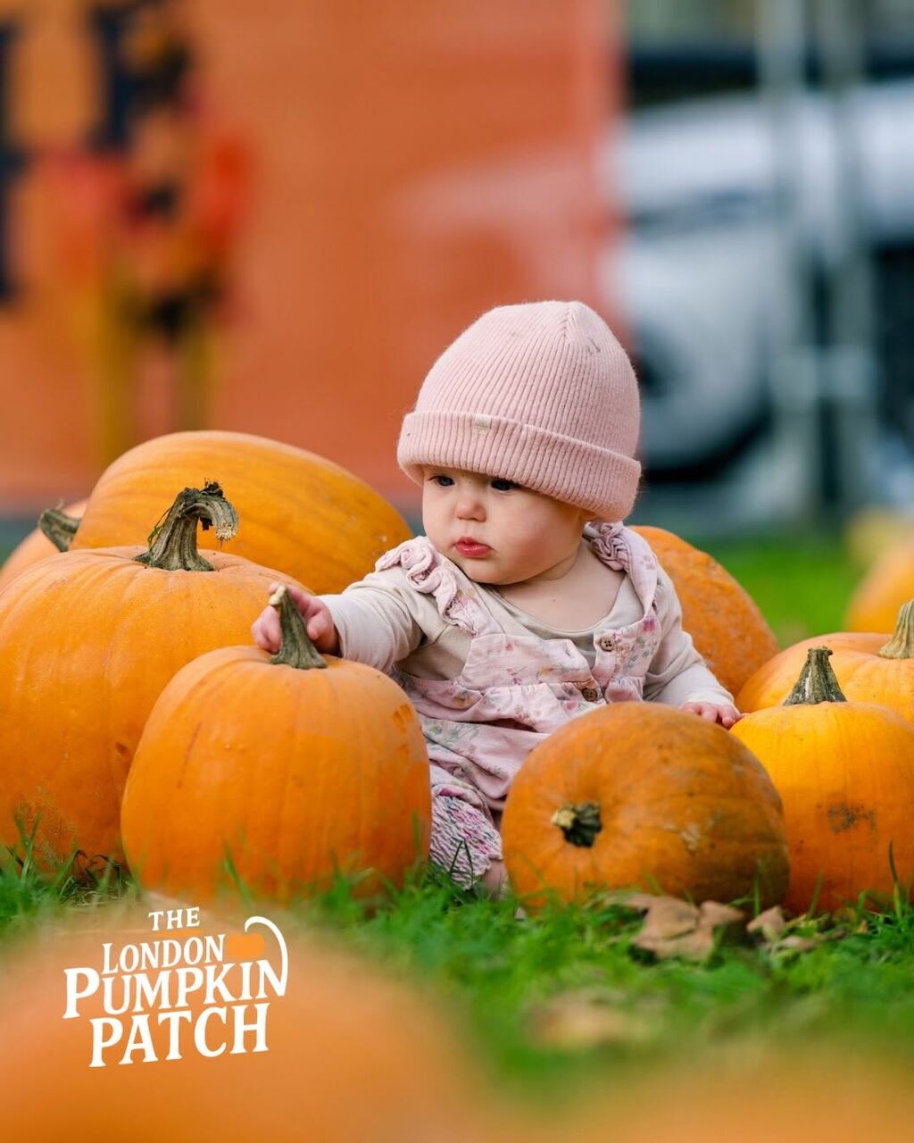 London, Business, London Pumpkin Patch