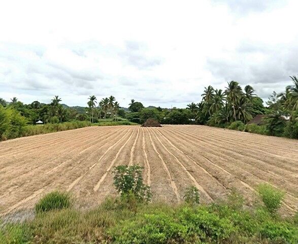 Bangkok, Real Estate For Sale, THB 20900000,  6 BR,  4400 Sq. Feet,  ขายที่ดิน 11 ไร่ ที่ดินแบ่งเป็น 2 แปล