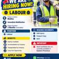 Labours/Helpers