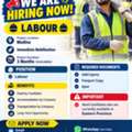 LABOUR  👷