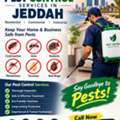 🏠 Professional Pest Control Services In Jeddah | مكافحة الحشرات بجدة