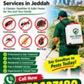🛡️ Best Pest Control In Jeddah | مكافحة الحشرات والقوارض بجدة