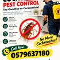 Cockroach Control In Jeddah | مكافحة الصراصير بجدة
