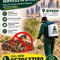 🐍 Snake Repellent & Control In Riyadh | مكافحة الثعابين بالرياض