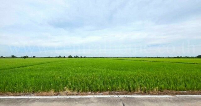 Bangkok, Real Estate For Sale, THB 11500000,  6 BR,  2589 Sq. Feet,  ที่ดินเปล่า สีม่วง 6-1-89 ไร่ คลองนิยมย