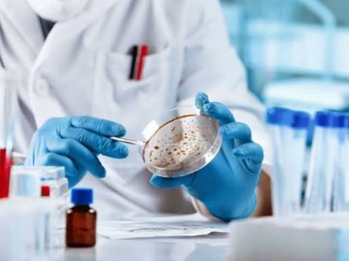 New Delhi, Business, Microbiology Laboratory Near Me For Reliable Testing And Accurate Results