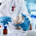 Microbiology Laboratory Near Me For Reliable Testing And Accurate Results