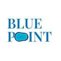 Blue Point Pools & Spas