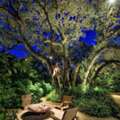 Outdoor Lighting In Fort Lauderdale