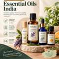 Bulk Essential Oils Supplier In India | Moksha Lifestyle