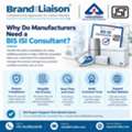Why Do Manufacturers Need A BIS ISI Consultant?