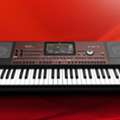 BHD .550, KORG PA 700 Arranger Keyboard For SALE