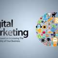 Digital Marketing Company In Delhi NCR