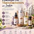 Essential Oil Manufacturers In India | Moksha Lifestyle