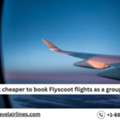 Is It Cheaper To Book Flyscoot Flights As A Group?
