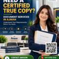 Need Certified True Copy Attestation In Ajman? Contact Amazon Attestation