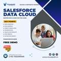 Salesforce Data Cloud Training | Salesforce Data Cloud Classes