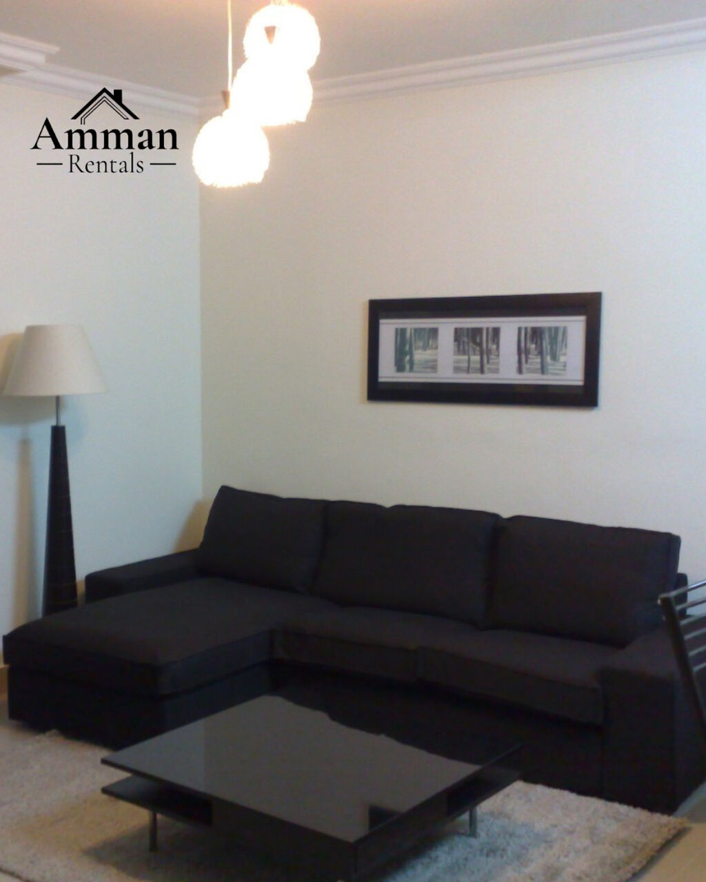 Amman, Apartments, Flats, Houses & Villas, Furnished,  2 BR,  Apartment For Rent