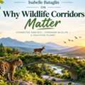 Isabelle Bataglin: Why Wildlife Corridors Matter