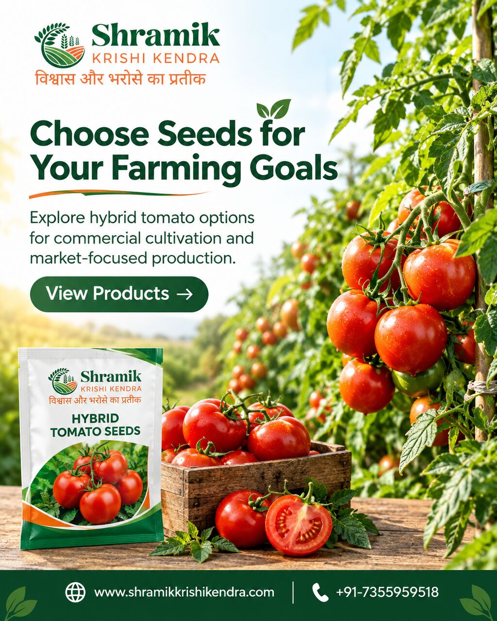 Mumbai, Materials, INR 730,  Hybrid Tomato Seeds Online | Shramik Krishi Kendra