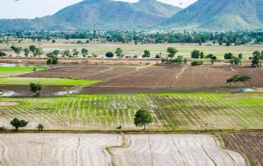 Nagpur, Real Estate, Agricultural Land Near Nagpur For Farming And Land Ownership